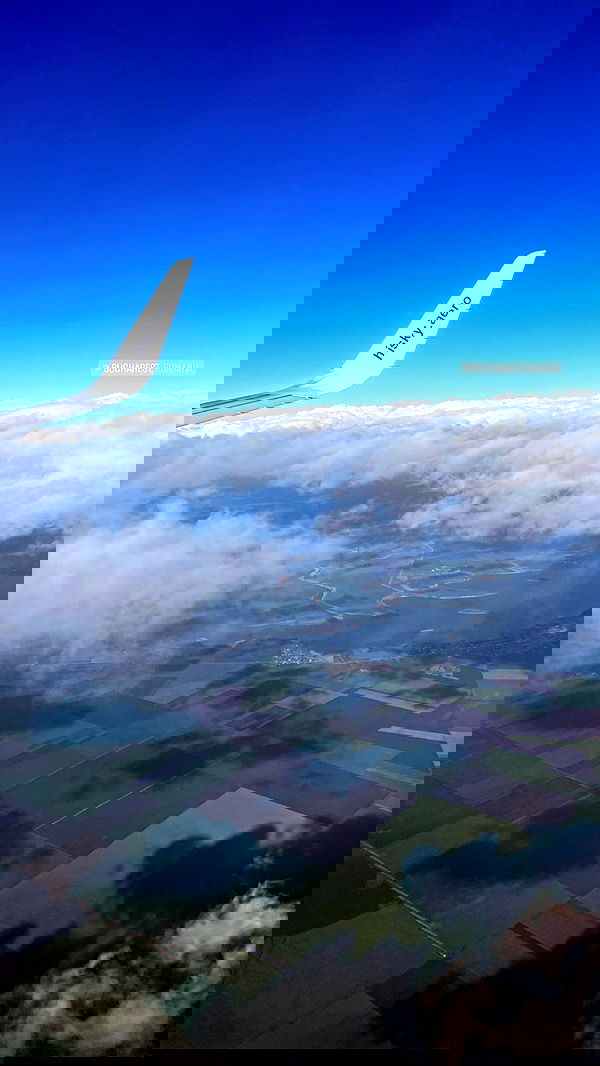 topaz_bn topaz_bn archive image