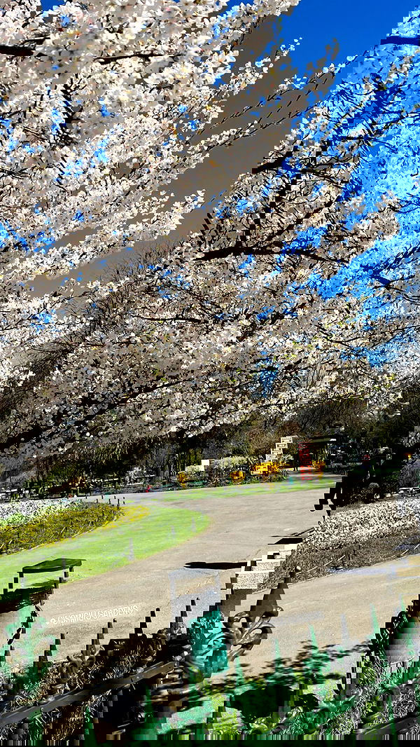 topaz_bn topaz_bn archive image