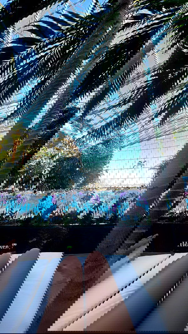 topaz_bn topaz_bn archive image