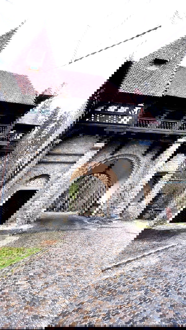 topaz_bn topaz_bn archive image