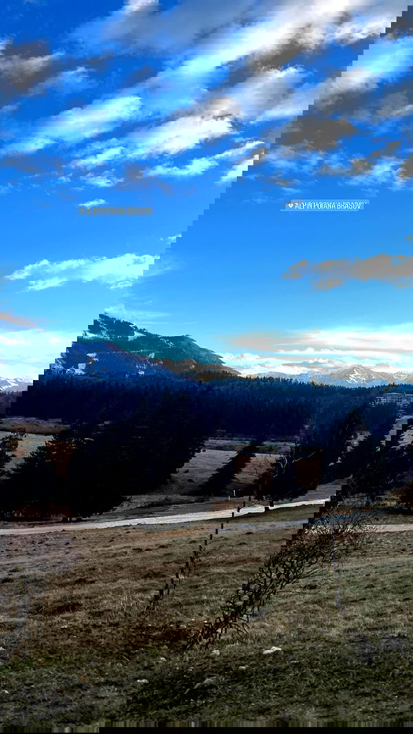 topaz_bn topaz_bn archive image