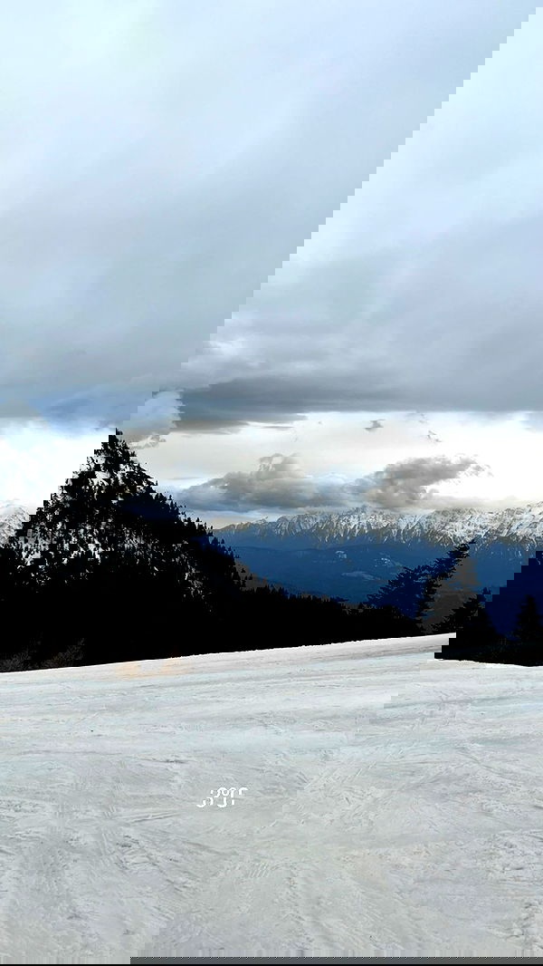 topaz_bn topaz_bn archive image