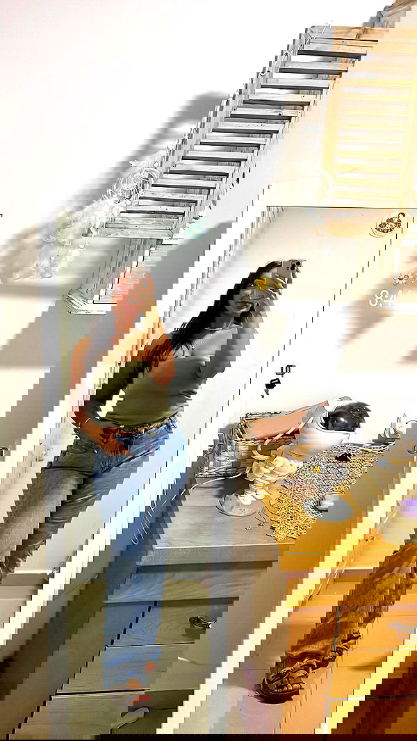 topaz_bn topaz_bn archive image