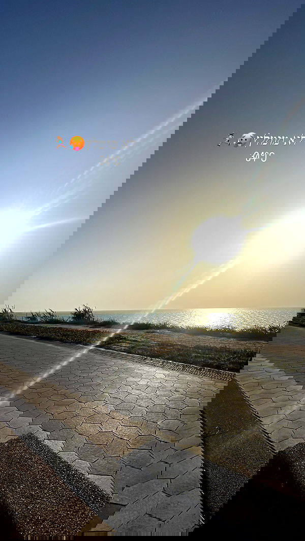 topaz_bn topaz_bn archive image