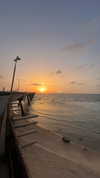 topaz_bn Altpins Profile Picture