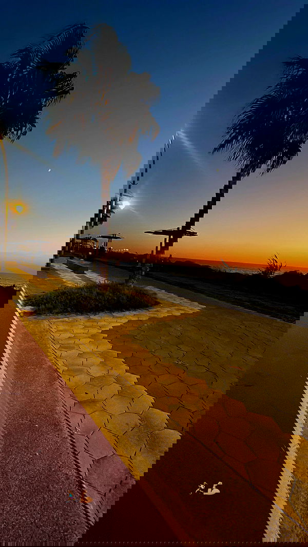 topaz_bn topaz_bn archive image