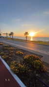 topaz_bn Altpins Profile Picture