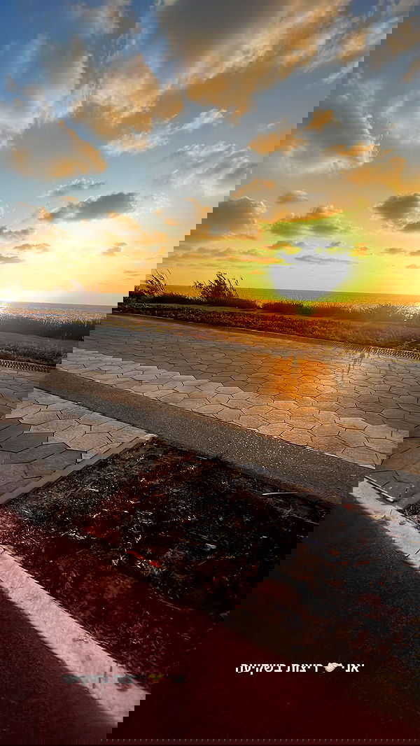 topaz_bn topaz_bn archive image