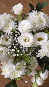 topaz_bn Altpins Profile Picture