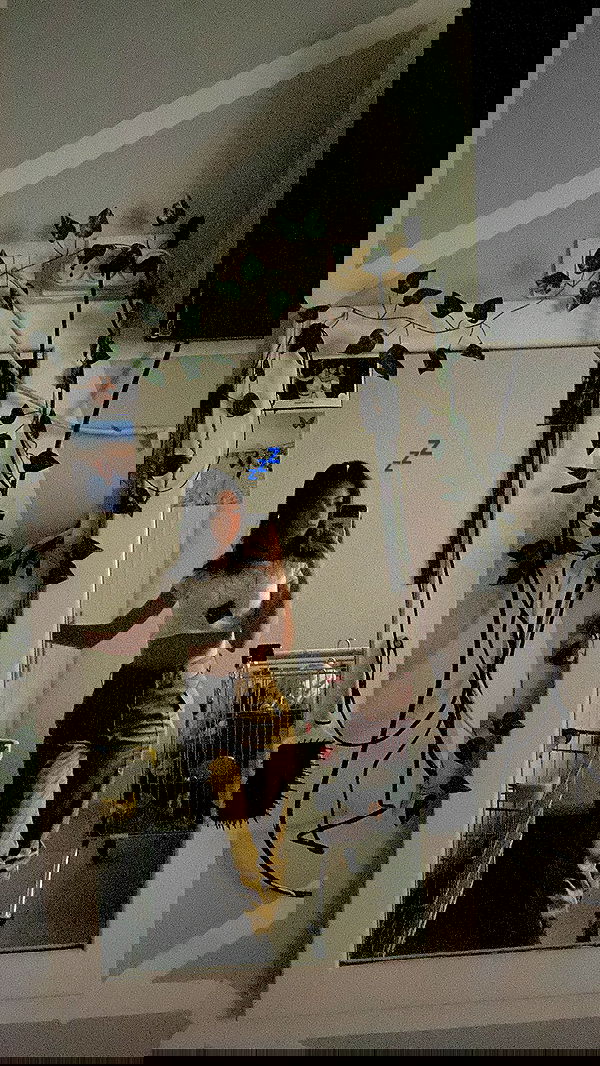 tuliish_ image ~ Altpins