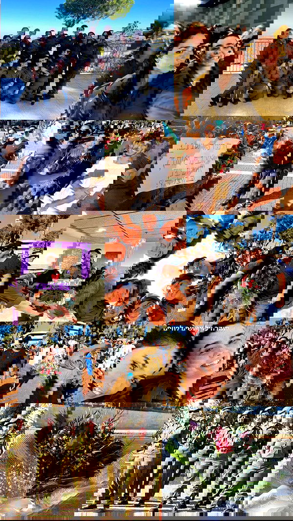 tuliish_ image ~ Altpins