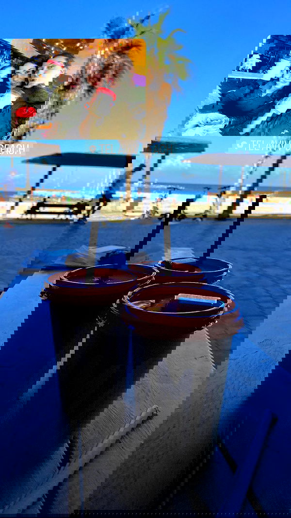 tuliish_ image ~ Altpins