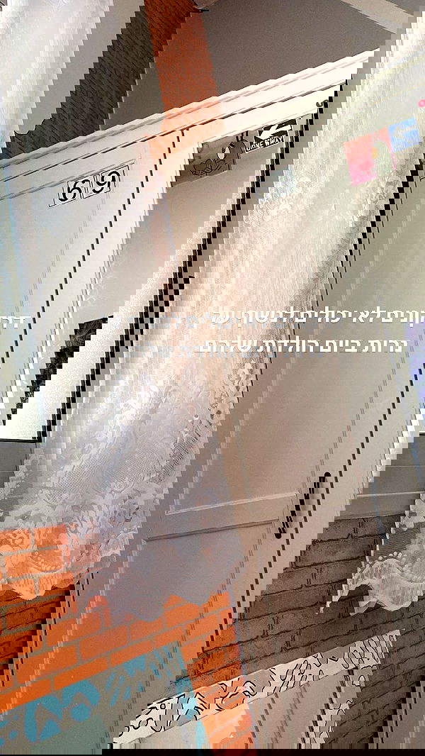 tuliprivet tuliprivet archive image