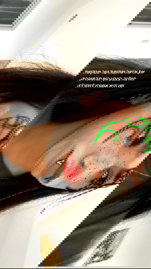 tuliprivet tuliprivet archive image