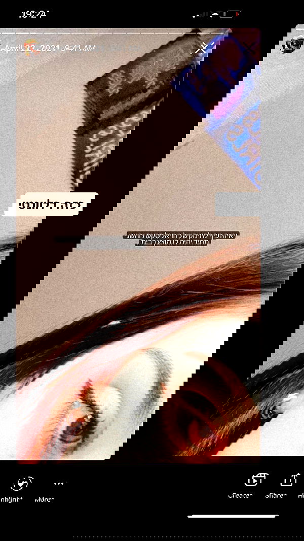 tuliprivet tuliprivet archive image