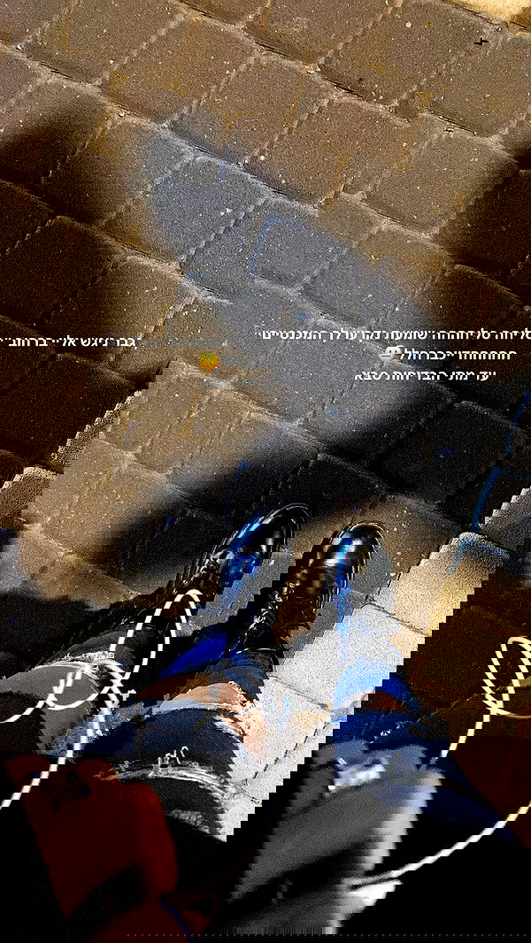 tuliprivet tuliprivet archive image