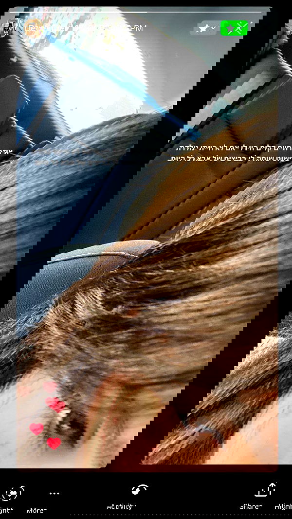 tuliprivet tuliprivet archive image