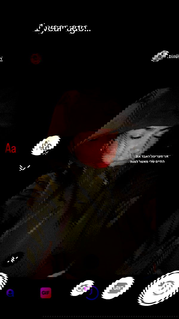 tuliprivet tuliprivet archive image