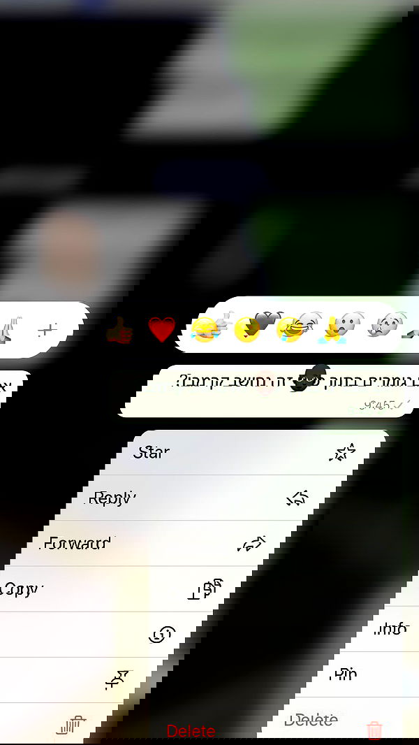 tuliprivet tuliprivet archive image