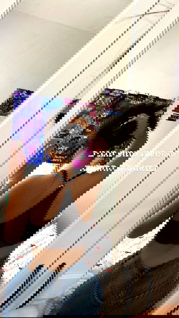 tuliprivet tuliprivet archive image