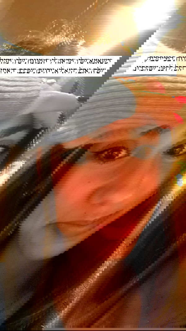 tuliprivet tuliprivet archive image