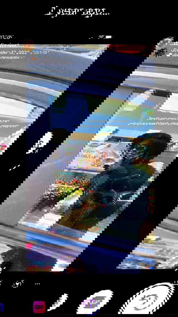 tuliprivet tuliprivet archive image