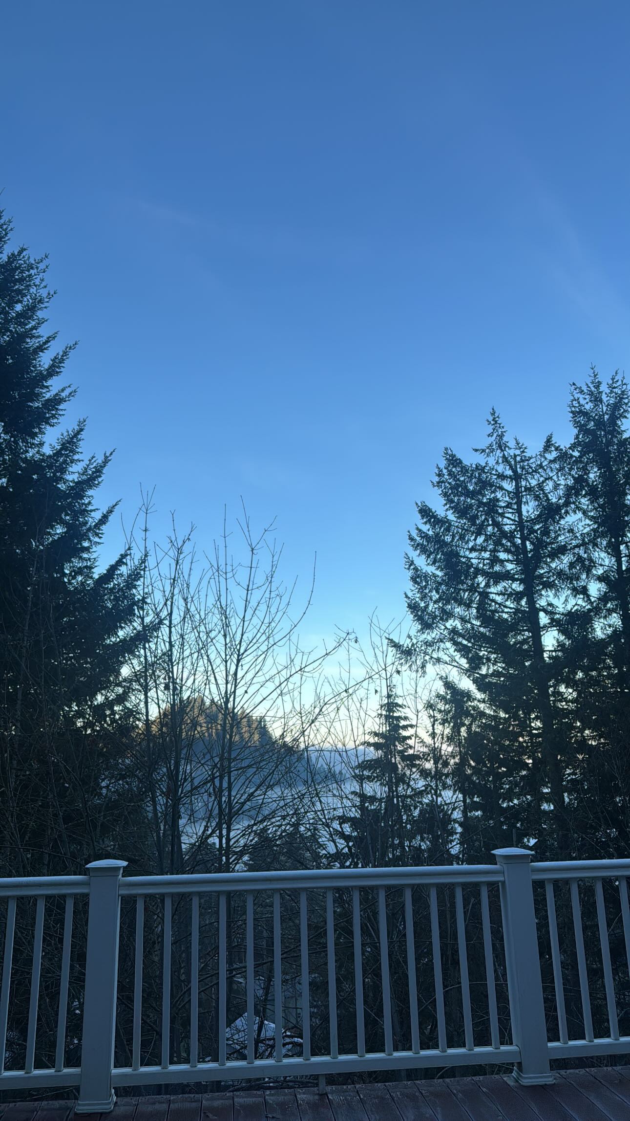 uniquexbrat instagram image archive image