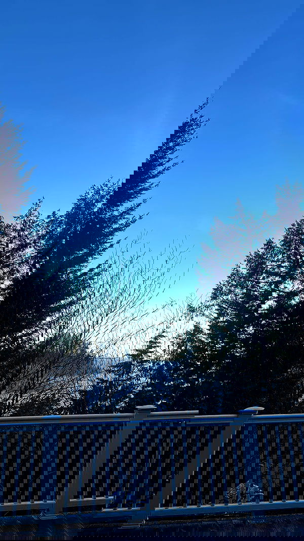 uniquexbrat image ~ Altpins