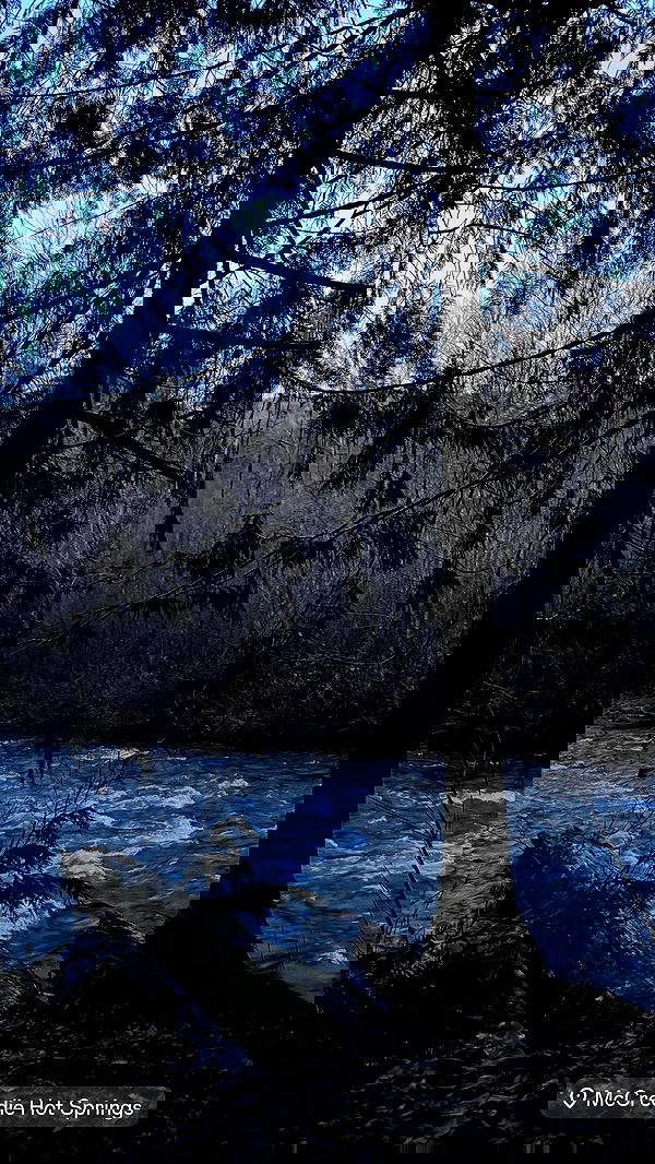 uniquexbrat image ~ Altpins