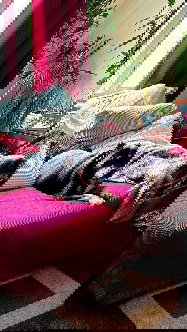 v.qx v.qx archive image