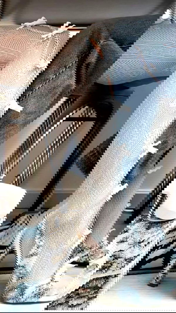 v.qx v.qx archive image