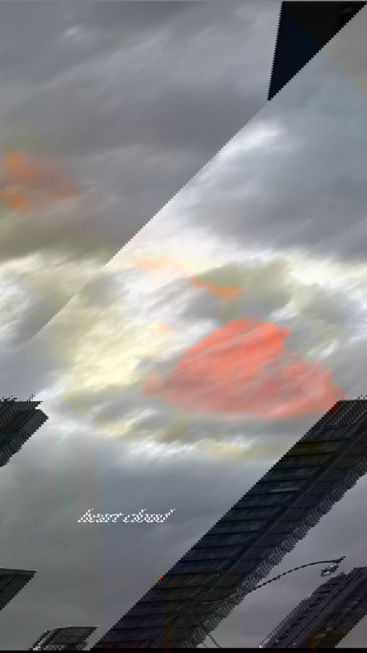 v33froggy instagram image archive image