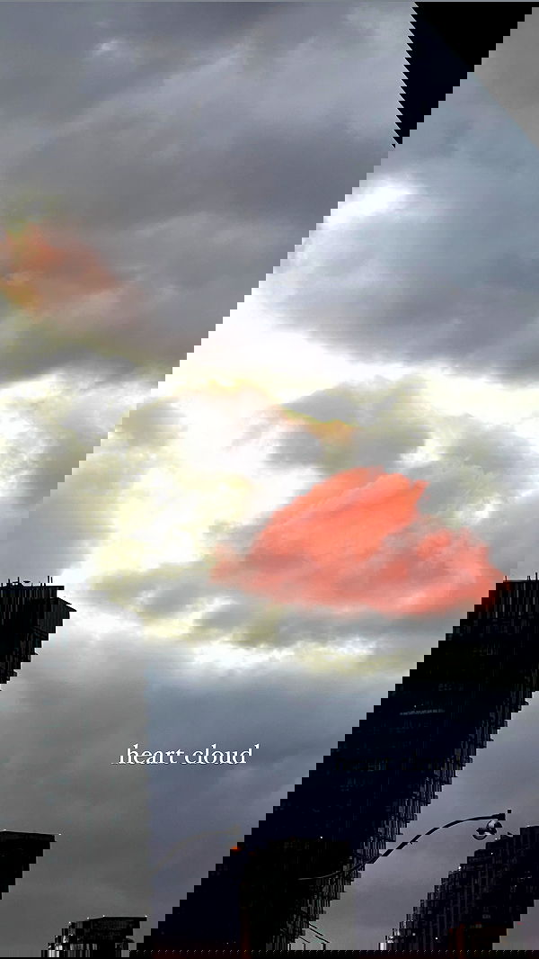 v33froggy image ~ Altpins