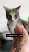 vadim_evs Altpins Profile Picture