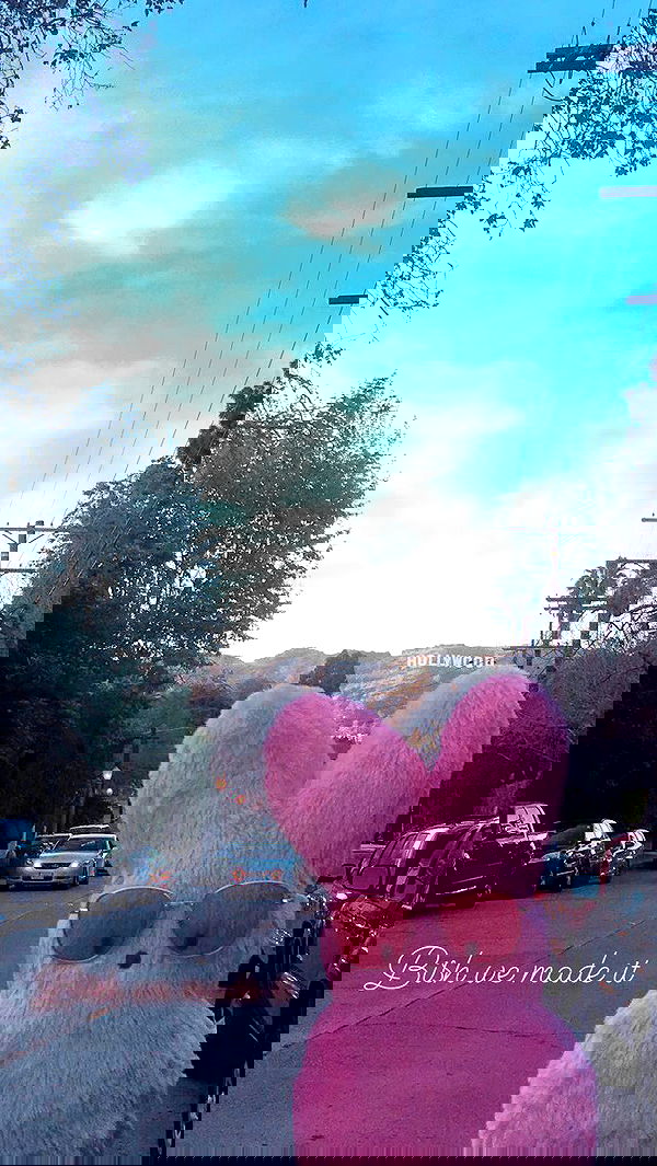 vanessa.julienne image ~ Altpins