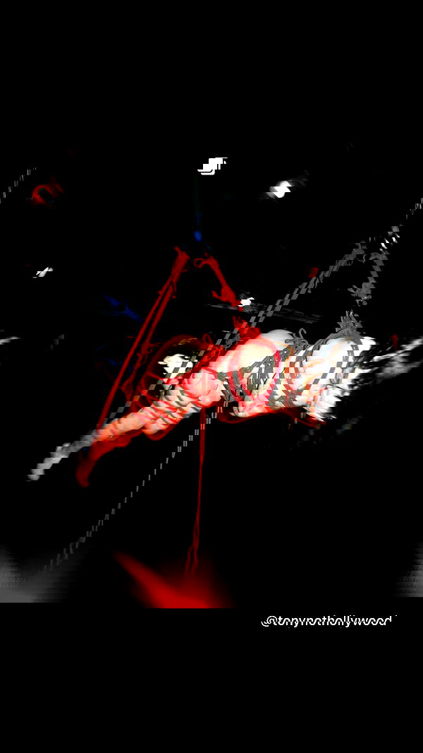 vanessa.julienne image ~ Altpins