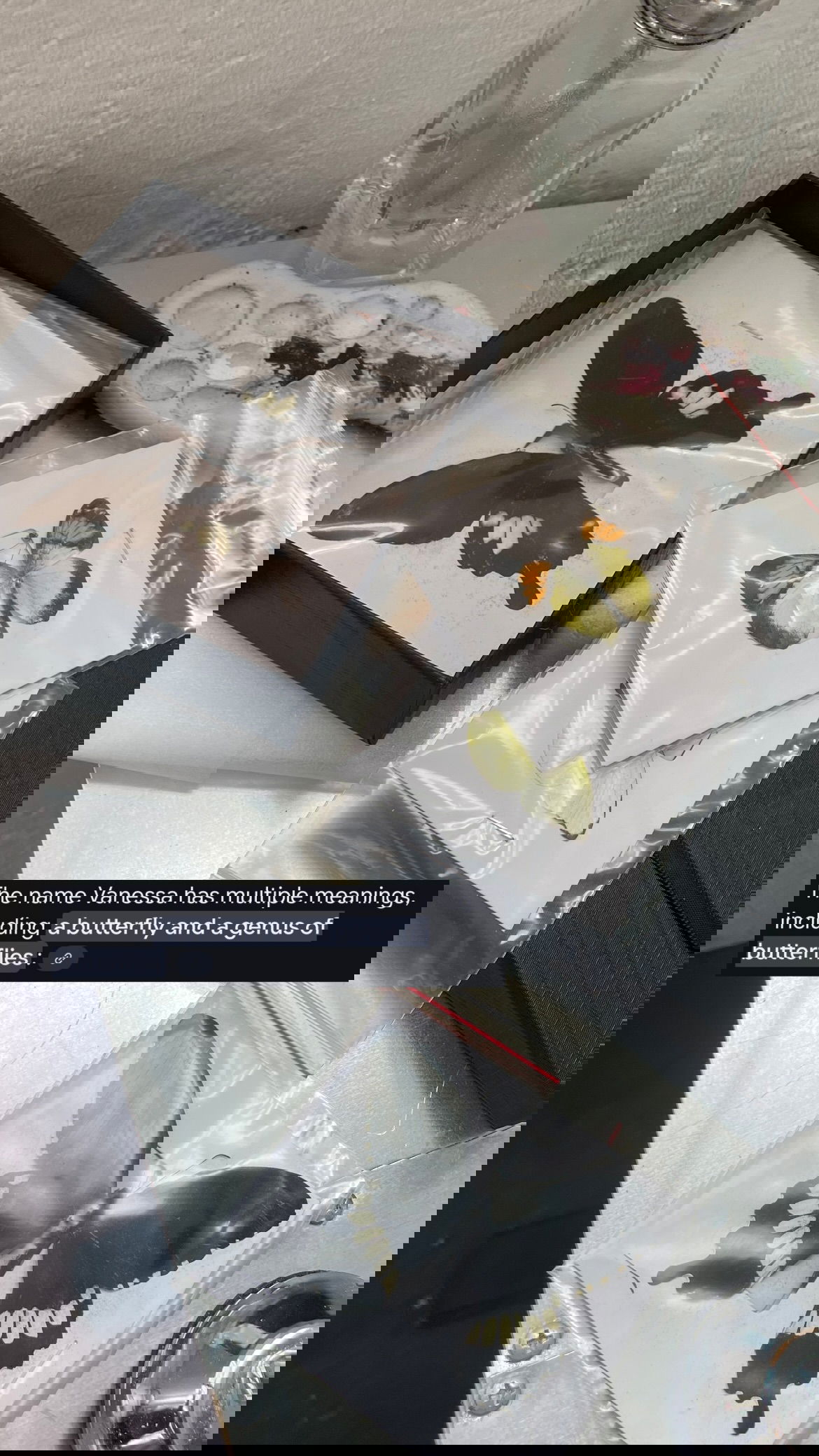 vanessa.julienne instagram image archive image