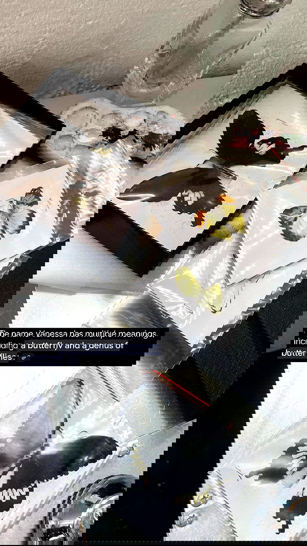 vanessa.julienne image ~ Altpins