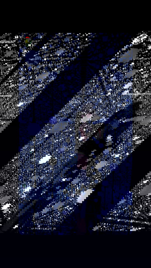 vanessa.julienne image ~ Altpins