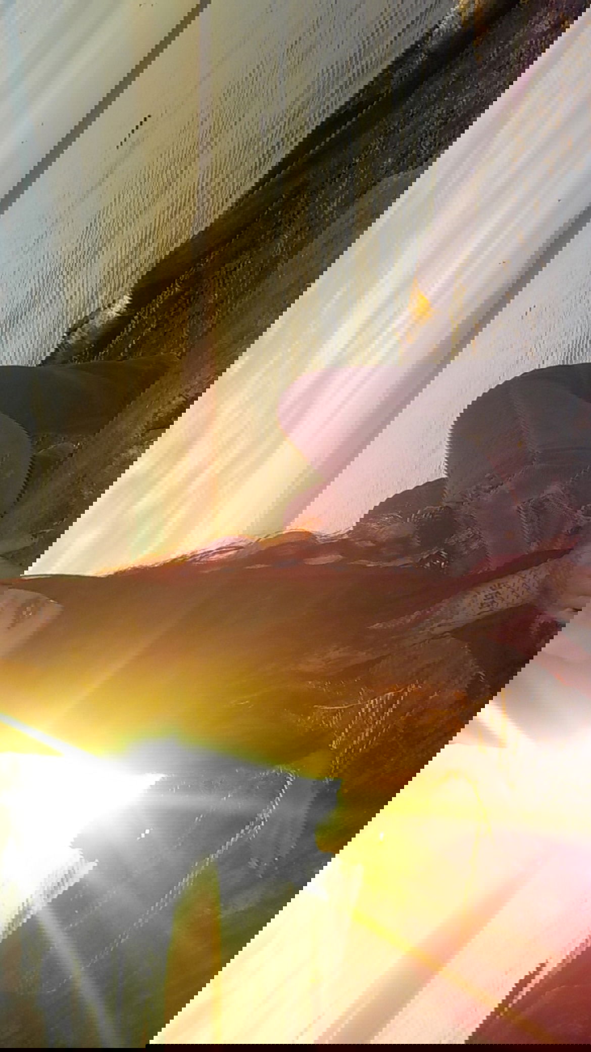 vanessa.julienne instagram image archive image