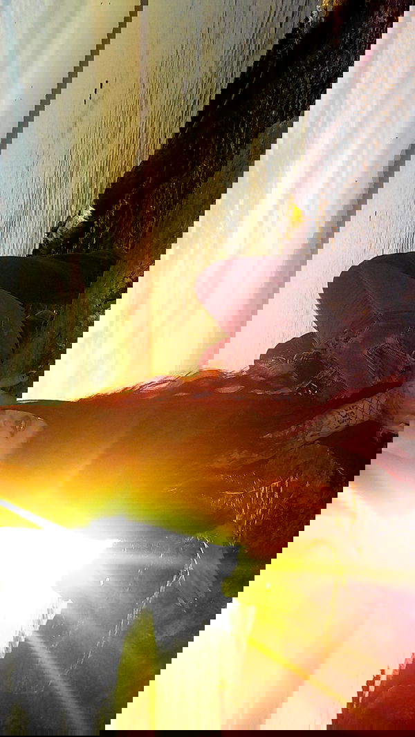 vanessa.julienne image ~ Altpins