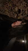 vanessa.julienne Altpins Profile Picture