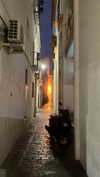vanessa.julienne Altpins Profile Picture