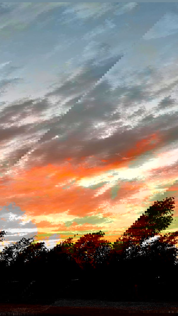 vanessa.julienne image ~ Altpins