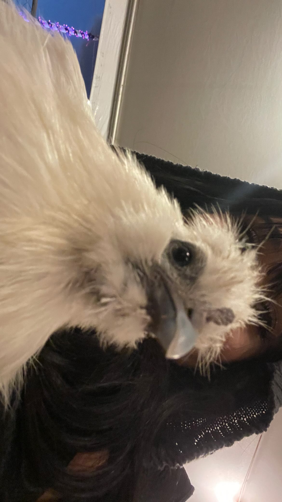 vanessa.julienne instagram image archive image