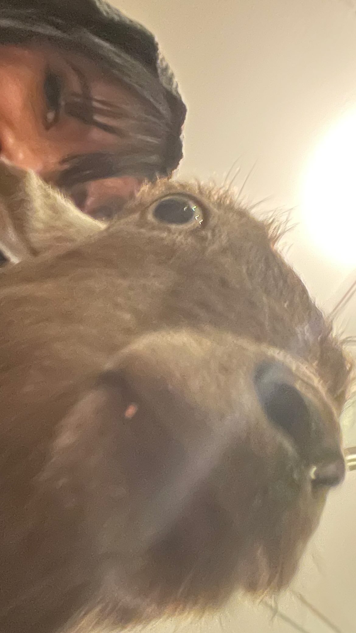 vanessa.julienne instagram image archive image