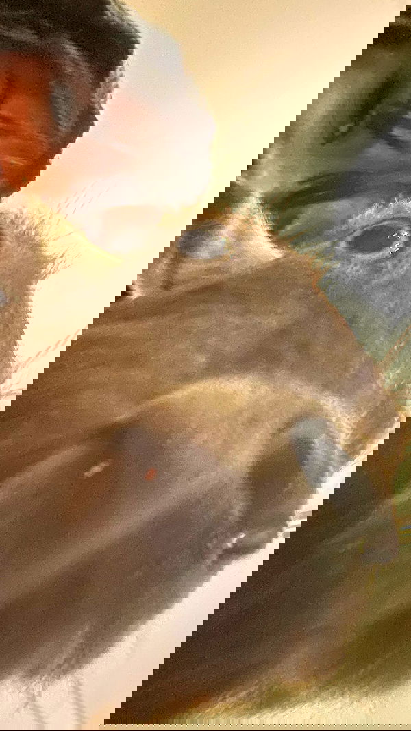 vanessa.julienne image ~ Altpins