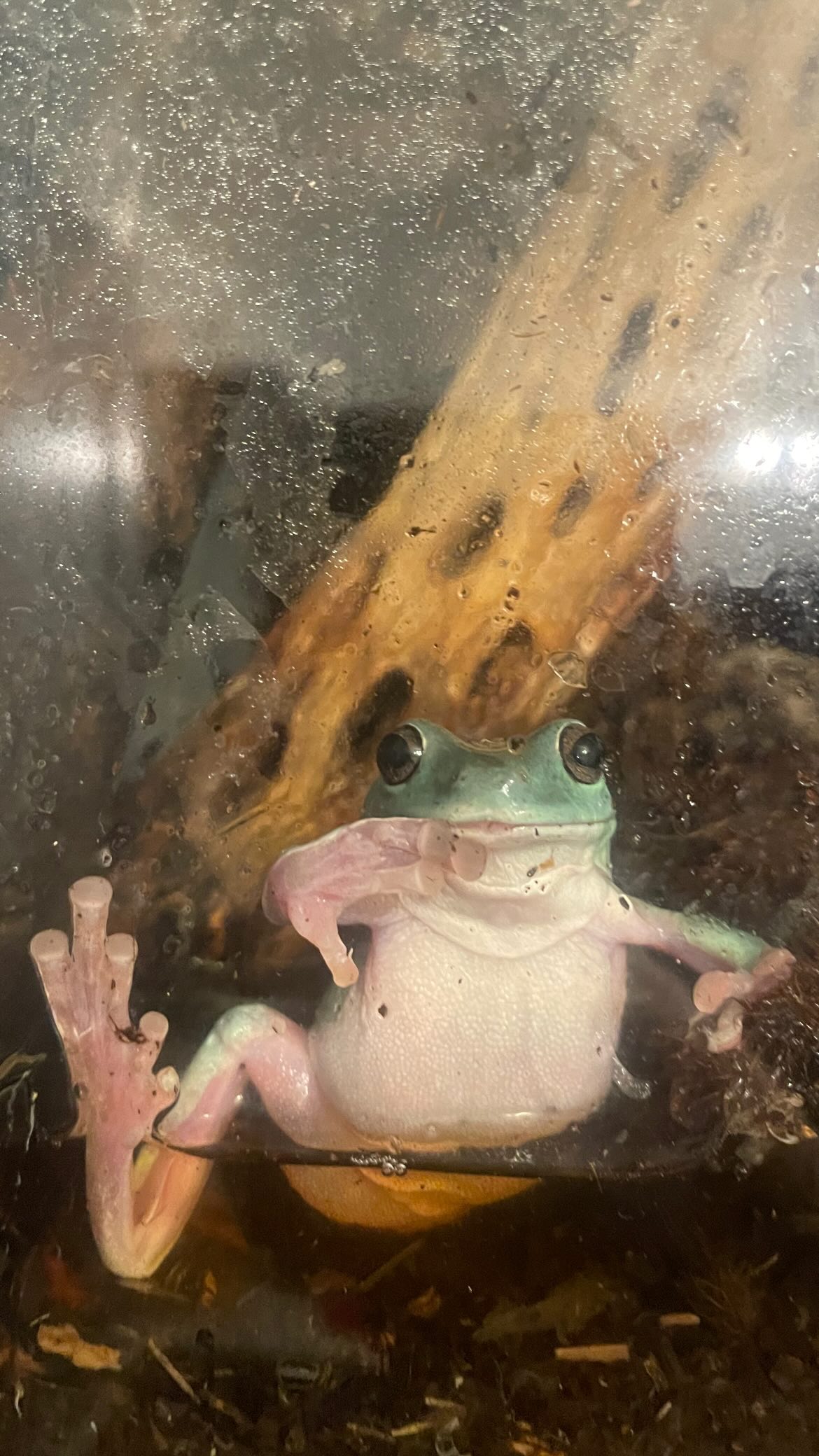 vanessa.julienne instagram image archive image