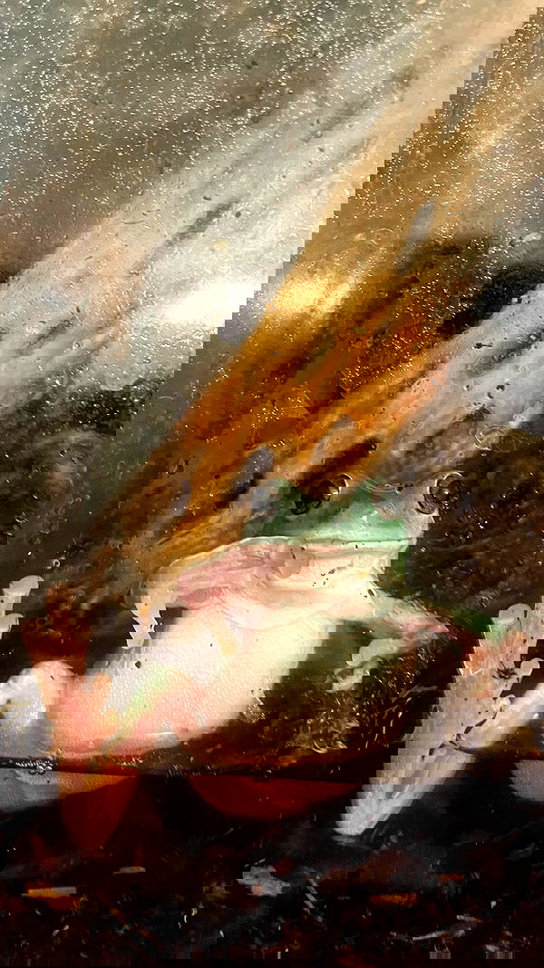 vanessa.julienne image ~ Altpins