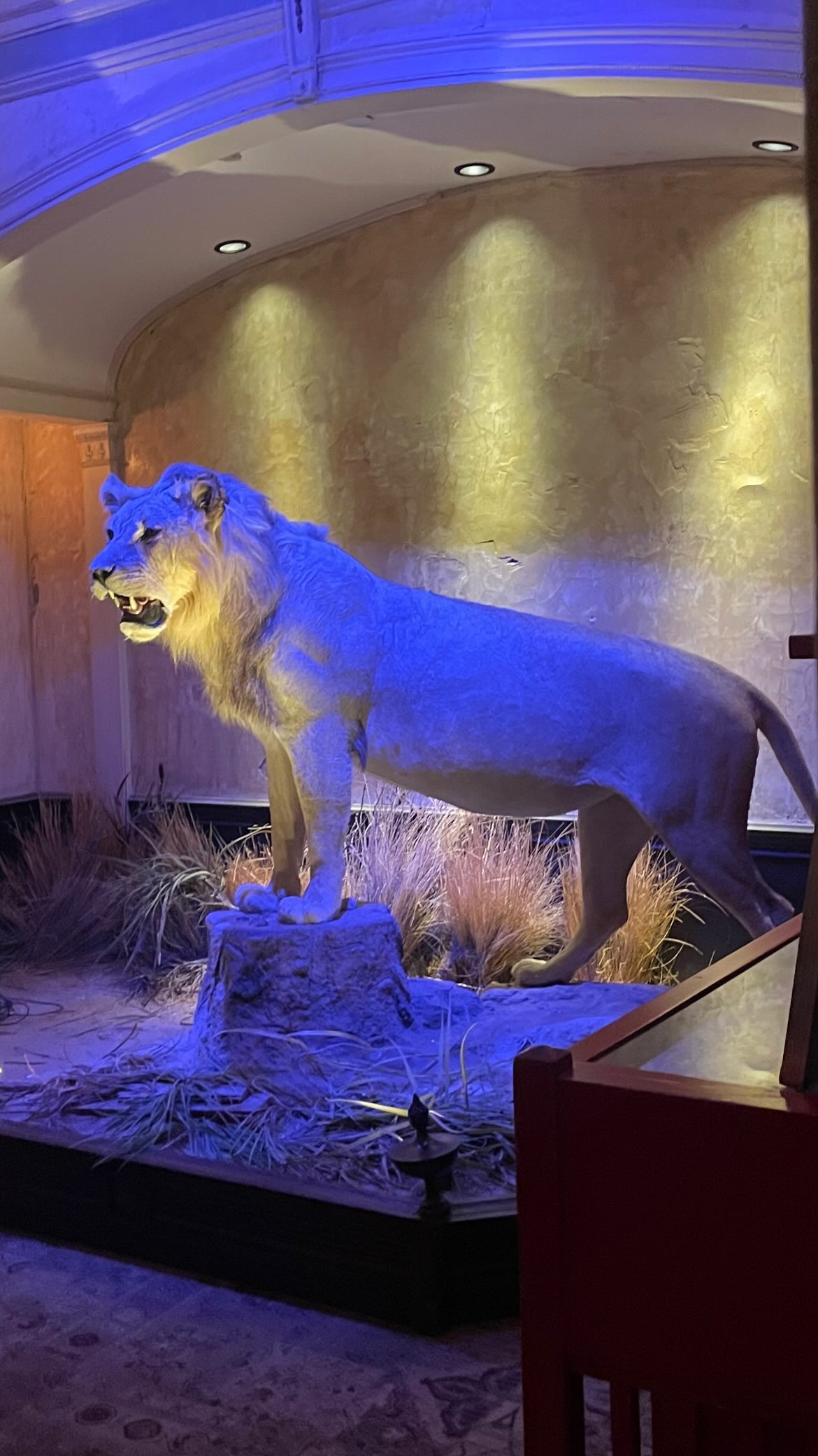 vanessa.julienne instagram image archive image